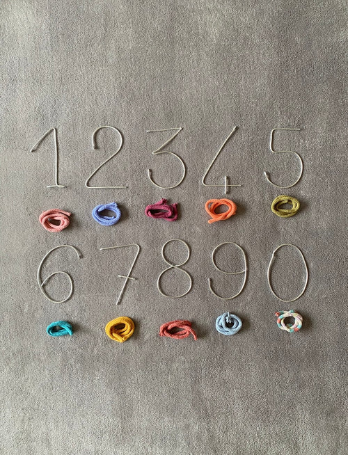Baby Monthly Milestone Set